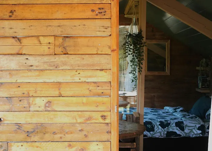 Ont Moeten - Waterflow